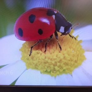 Meet your Posher, Celia